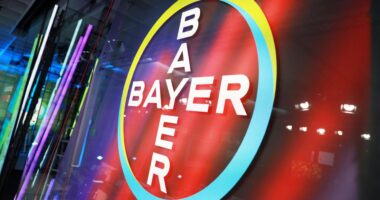 Logo grille Bayer