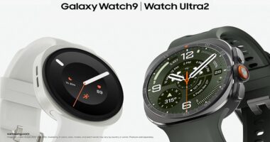 سامسونج تطرح جيلاً جديداً من الساعات الذكية بعنوان Galaxy Watch Ultra2 وWatch9 رفيقك الصحي على المعصم